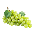 Wines & Drinks