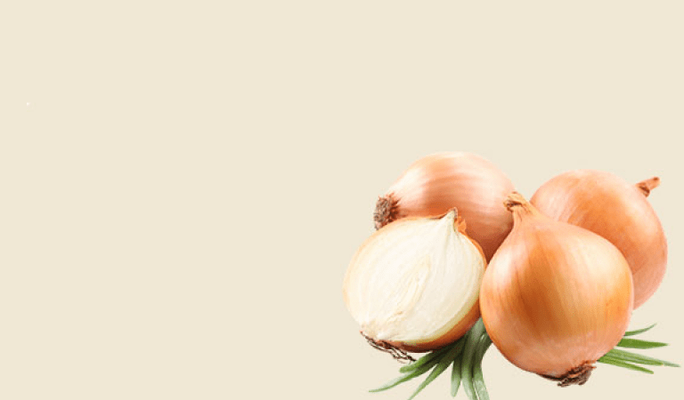 Everyday Fresh with Our Products